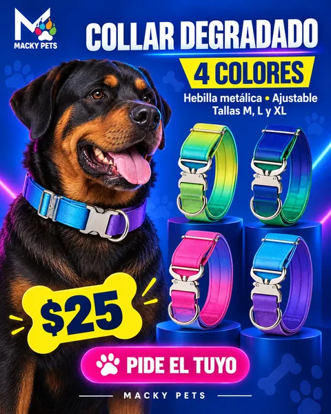 Collar Degradado en 4 colores, $25