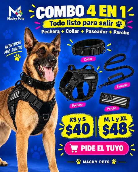 Combo 4 en 1: pechera, collar, paseador y parche