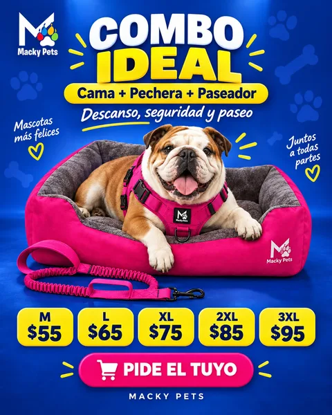 Combo Ideal: cama, pechera y paseador