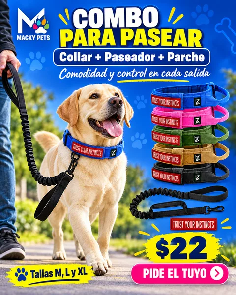 Combo para pasear: collar, paseador y parche, $22