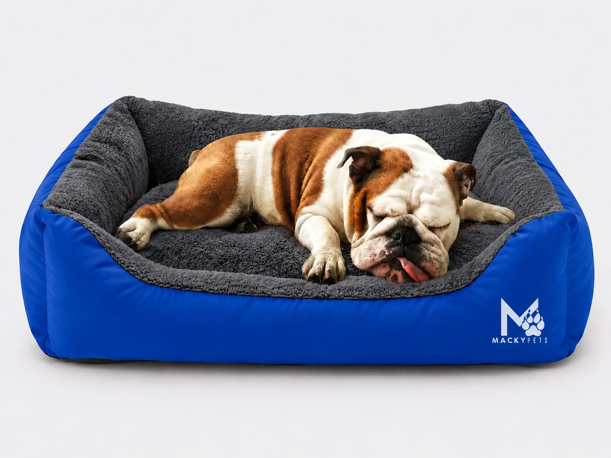 Cama Mackypets Talla L