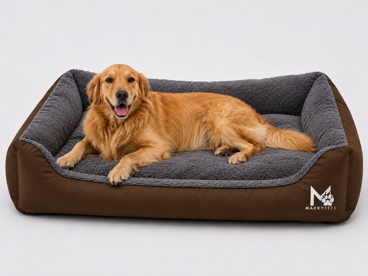 Cama Mackypets Talla 2XL