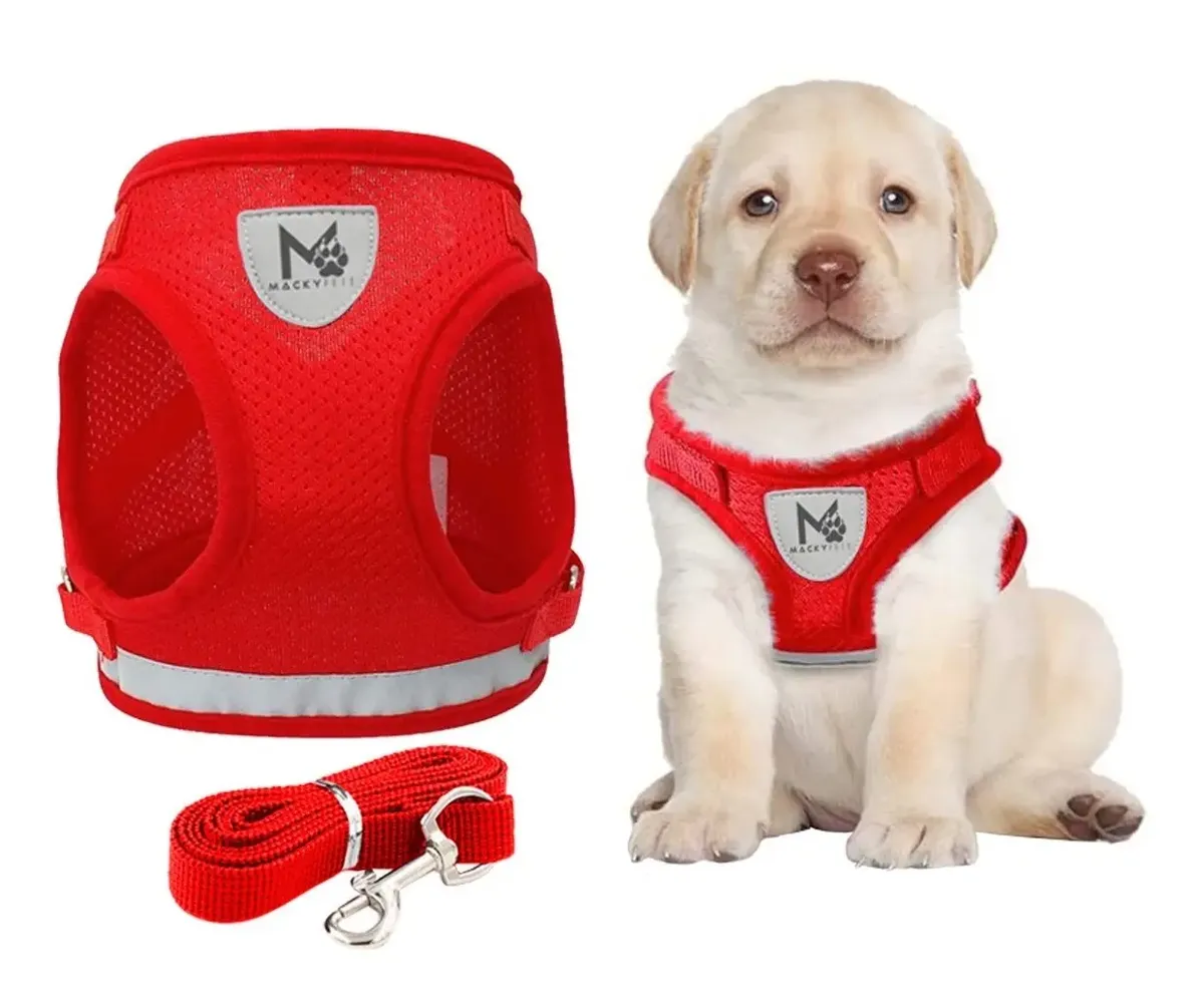 Pechera Ajustable Reflectiva 3M (Perros y Gatos)