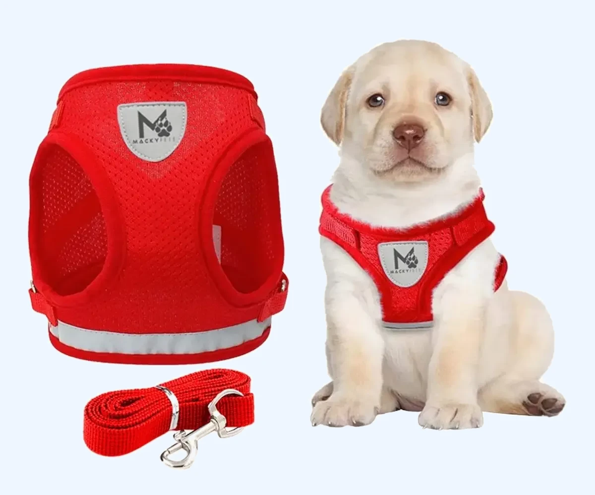 Pechera de Cachorro Reflectiva con Correa