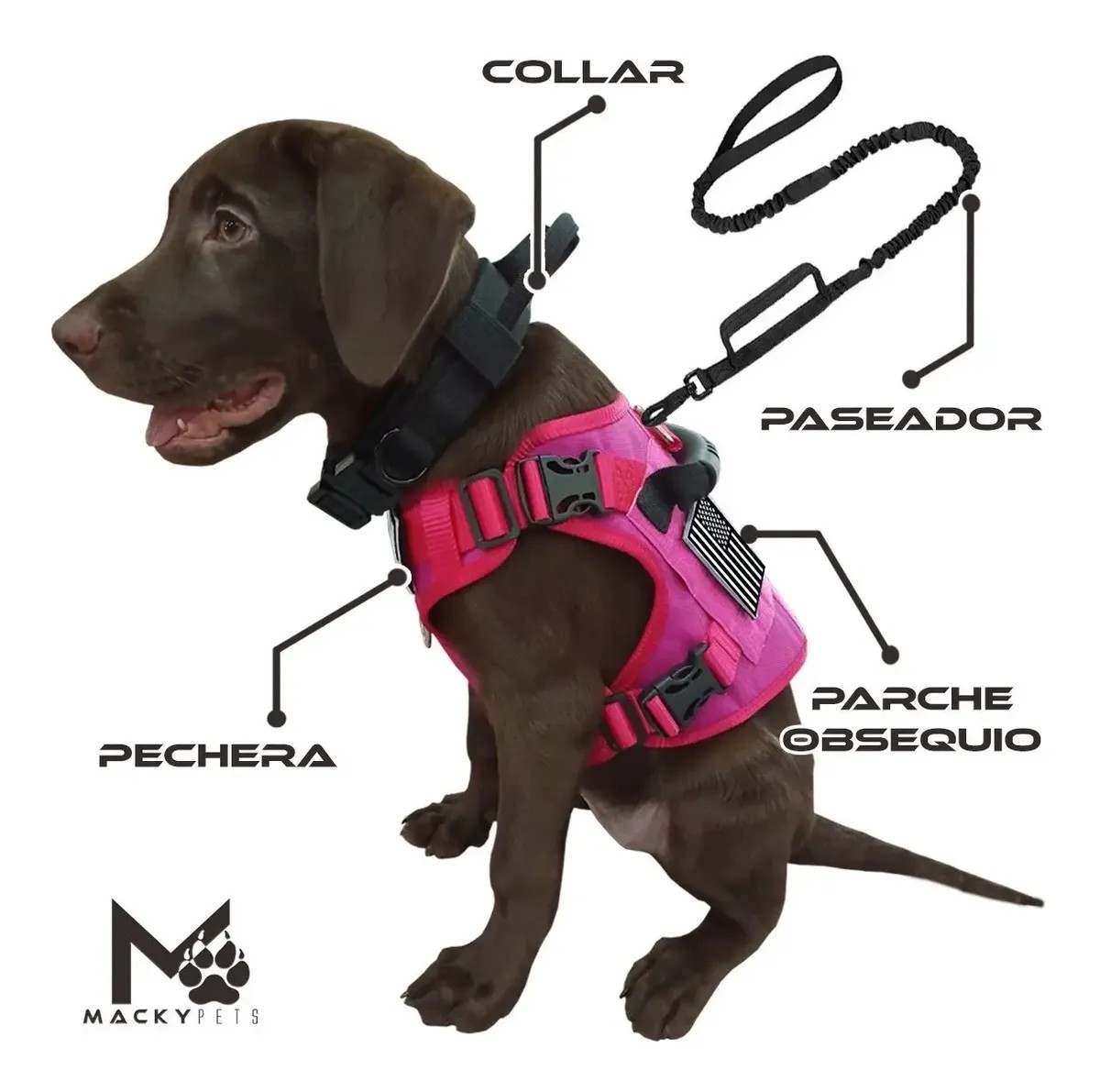Combo Pechera Táctica + Collar + Paseador + Parche Talla M
