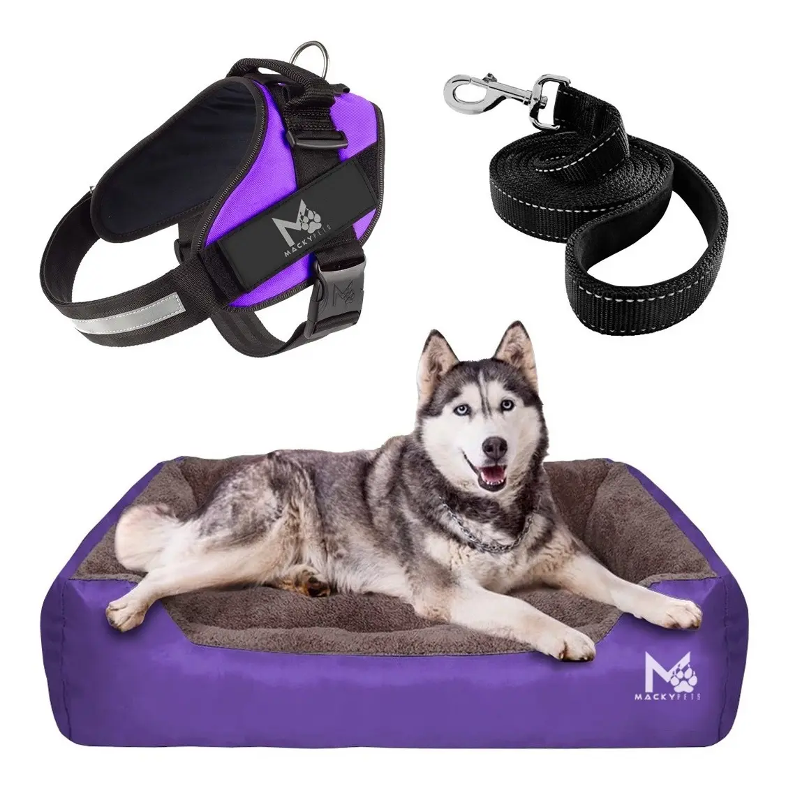 Super Combo Cama XL + Pechera L + Paseador