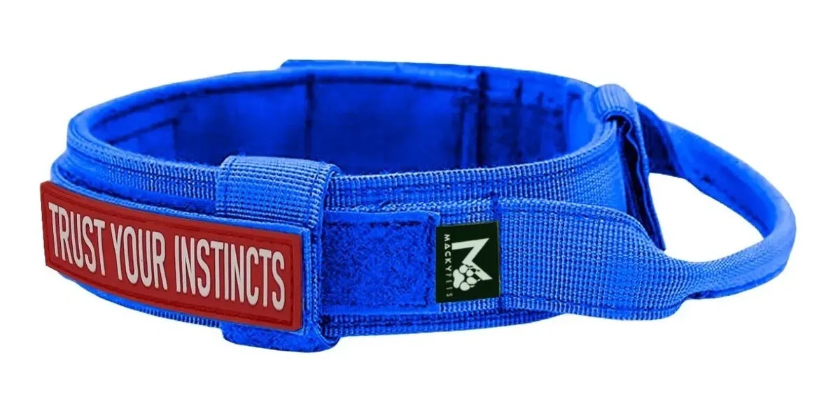 Combo Collar Táctico + Paseador + Parche